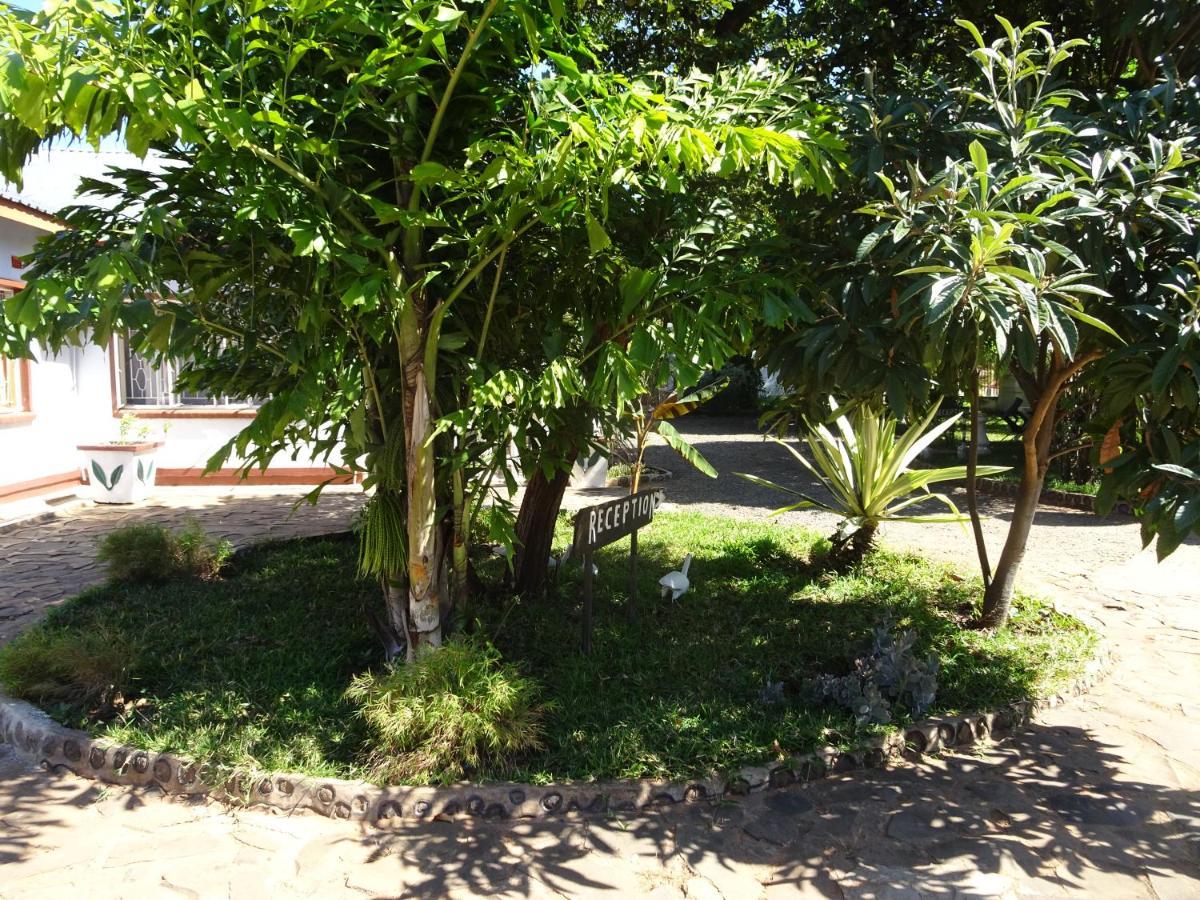 White Rose Lodge Livingstone Exterior foto